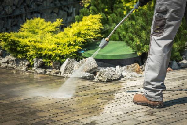 Best Pre-Holiday Cleaning  in Michigan City, IN