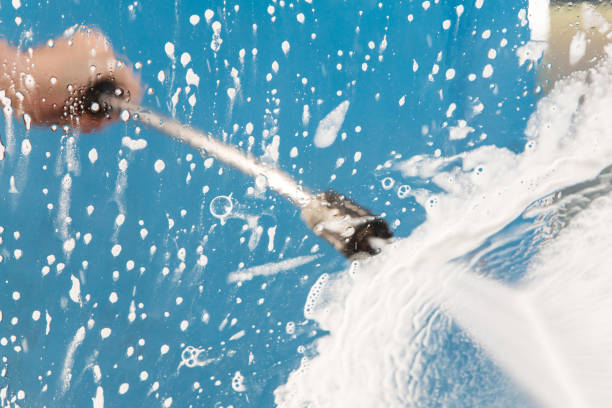 Best Soft Washing  in Michigan City, IN