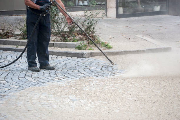 Best Gutter Cleaning  in Michigan City, IN